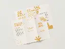 Folleto 2 cumpleaños.webp